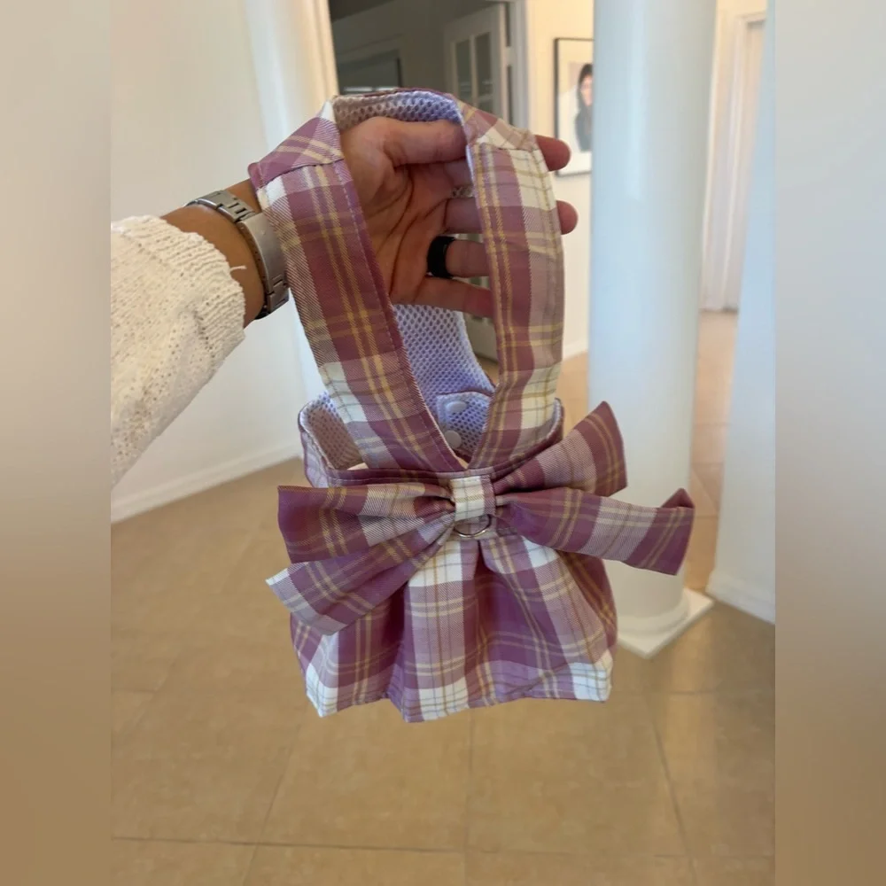 Plaid dress and harness 🩷